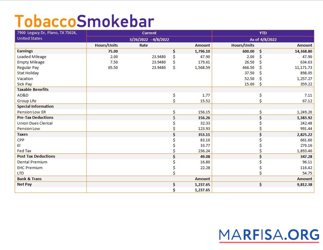 Blank Tobacco company earning statement real example